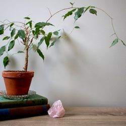 Evergreen Counseling & Wellness - A sample of our office decor