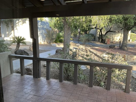 Canyon Ranch Tucson by null