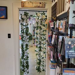 Black Cat Books and Oddities