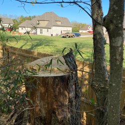 G. Rivera's Tree Service