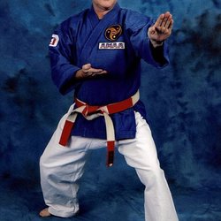 Karate International of Apex/Cary - Master Wade Houston