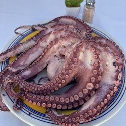 Gravina Malibu - Octopus di Gravina