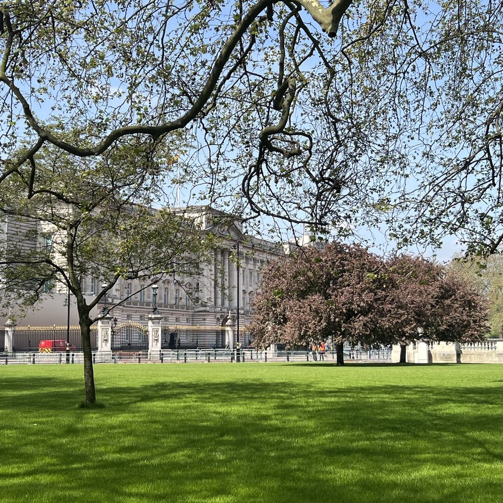 Buckingham Palace - Landmarks & Historical Buildings Near Me - London, XGL