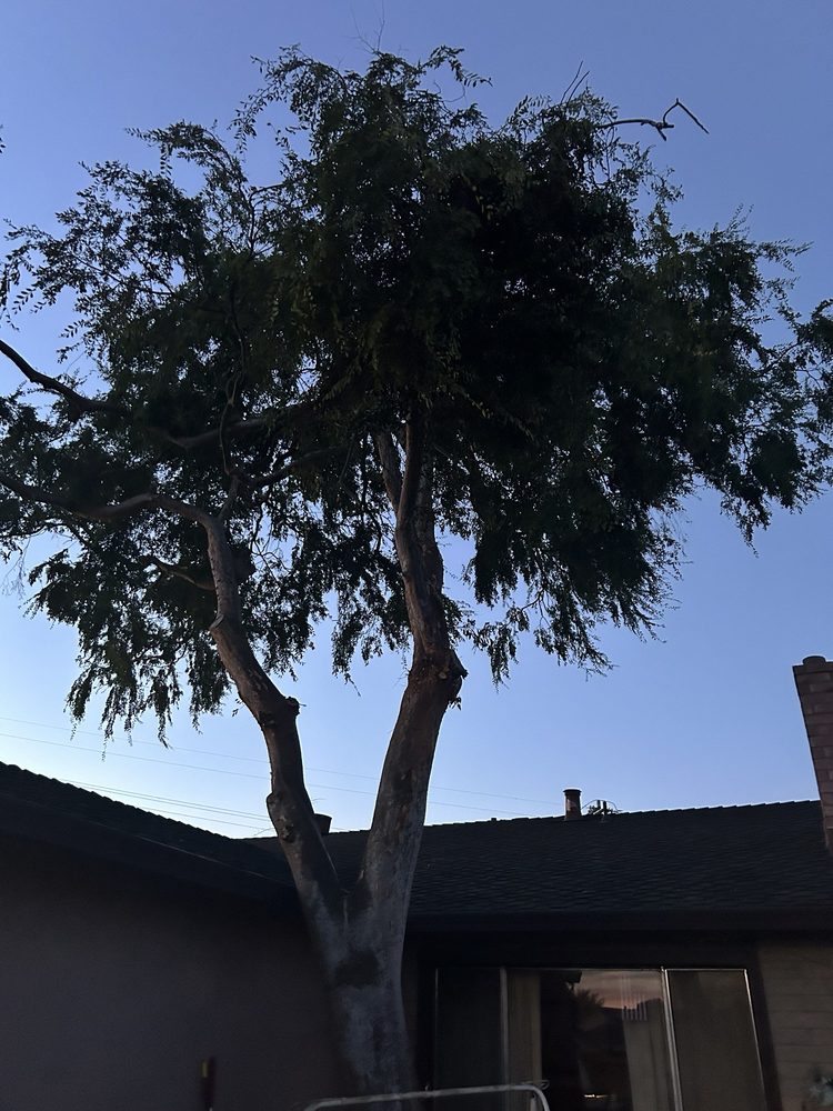 Espinoza Tree Service - tree service in San Jose, CA