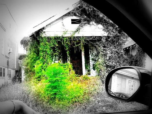 Ninth Ward by null