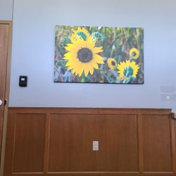 Legacy ER & Urgent Care - Frisco East - Art in waiting room