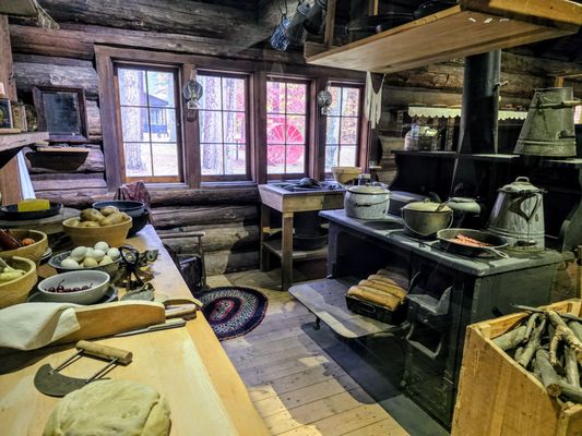 Hartwick Pines Logging Museum by null