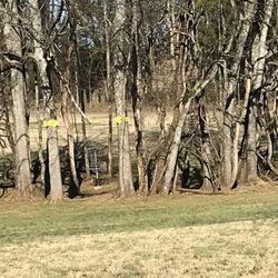 Sharp Springs Disc Golf Park