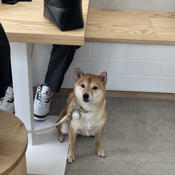 Modu Cafe - Baddie - Coffee & Tea Near Me - Los Angeles, California