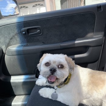 Perfect Pet Rescue - Five years later! - Animal Shelters Near Me - Los Angeles, California Perfect Pet Rescue - Five years later! - Animal Shelters Near Me - Los Angeles, California
