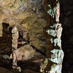 Nebelhöhle - Stalagmiten