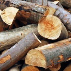 SCV Firewood