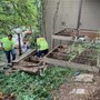 Photo of Lo's Contracting