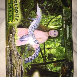 A live baby crocodile! A live baby crocodile!