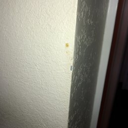 Random stains on the walls. This was sticky and "cleaned for Covid" Random stains on the walls. This was sticky and "cleaned for Covid"