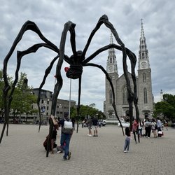 Musée des beaux-arts du Canada