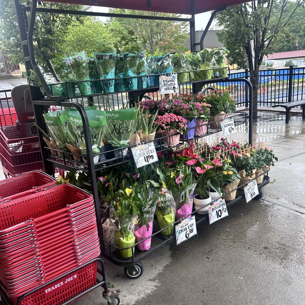 Trader Joe's - Grocery Near Me - Asheville, North Carolina Trader Joe's - Grocery Near Me - Asheville, North Carolina