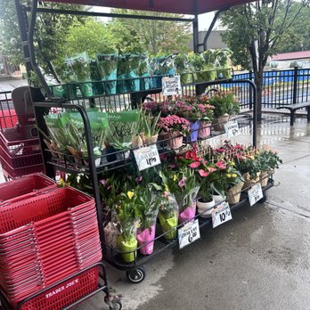Trader Joe's - Grocery Near Me - Asheville, North Carolina Trader Joe's - Grocery Near Me - Asheville, North Carolina