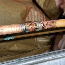 Shark Plumbing Services