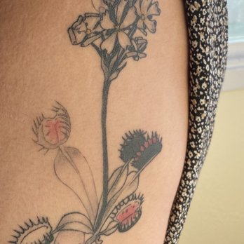 Old Crow Tattoo - Venus flytrap by Natasha Tsozik - Tattoo Near Me - Berkeley, California