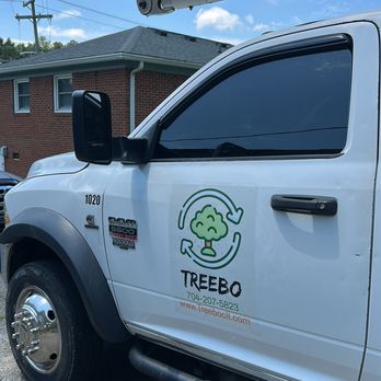 Treebo - Tree service Monroe, NC and surroundings. Tree trimming, tree removal and stump grinding - Tree Services Near Me Treebo - Tree service Monroe, NC and surroundings. Tree trimming, tree removal and stump grinding - Tree Services Near Me