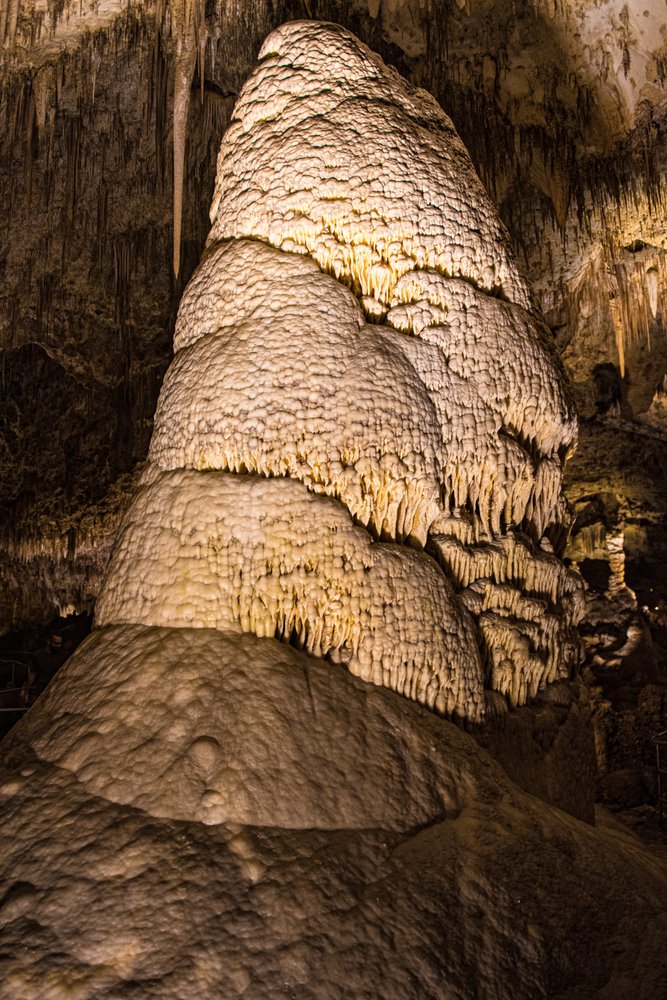 CARLSBAD CAVERNS BAT FLIGHT PROGRAM Updated October 2024 32 Photos