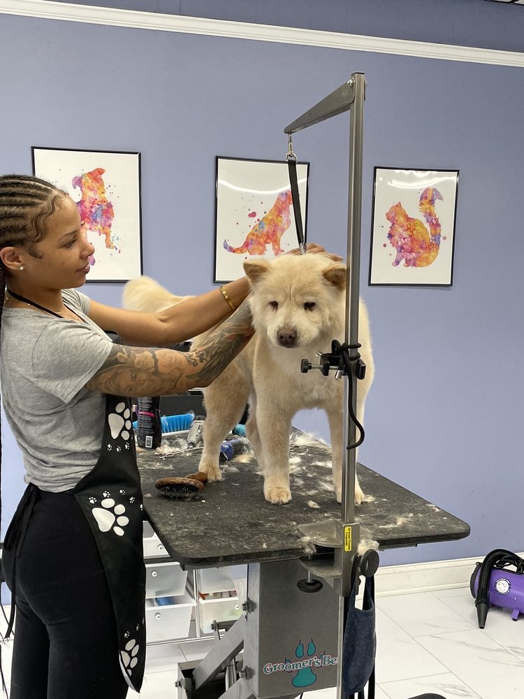 GROOM HAVEN Updated October 2024 15 Reviews 41 East Fort Ave