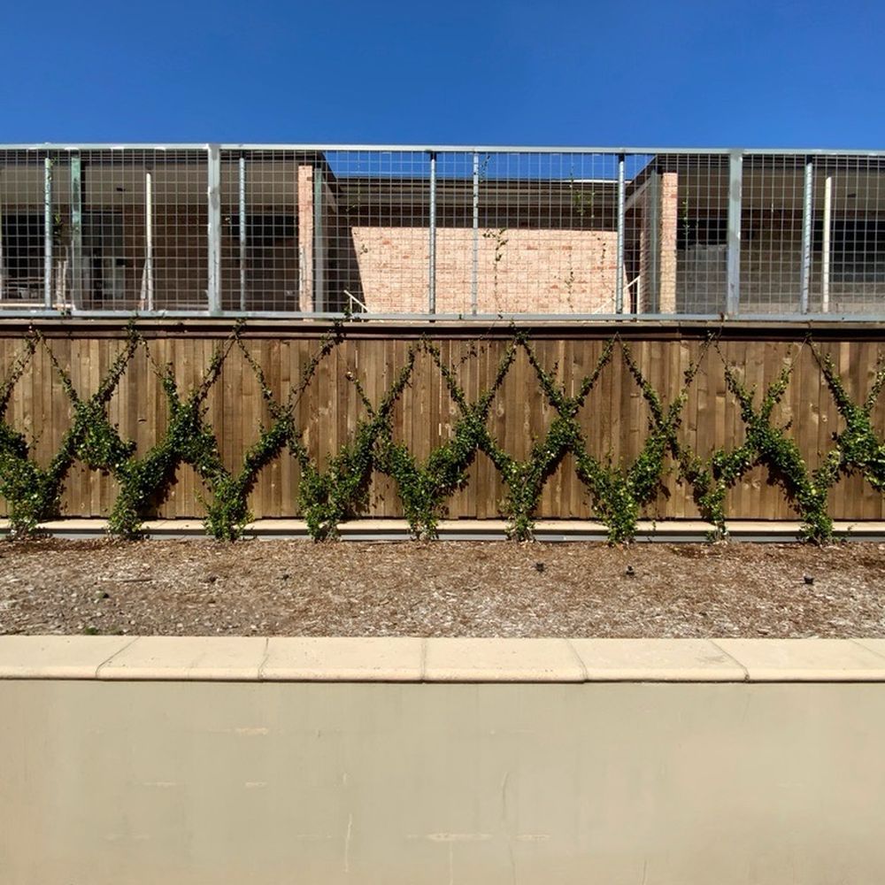 Texas Fence - TEXAS FENCE built this sturdy 250 ft wide trellis all along our commercial property. - Fences & Gates Near Me - Houston, Texas