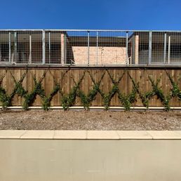 TEXAS FENCE built this sturdy 250 ft wide trellis all along our commercial property.