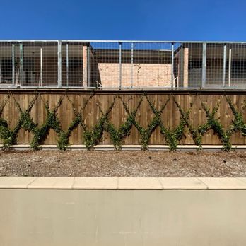 Texas Fence - TEXAS FENCE built this sturdy 250 ft wide trellis all along our commercial property. - Fences & Gates Near Me - Houston, Texas Texas Fence - TEXAS FENCE built this sturdy 250 ft wide trellis all along our commercial property. - Fences & Gates Near Me - Houston, Texas