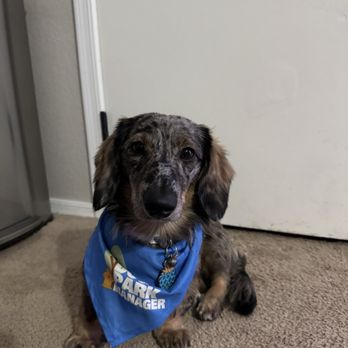 Petco - Zoro - Pet Stores Near Me - Laveen, Arizona