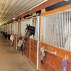 Canterbury Stables