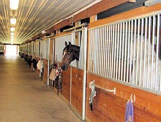 Canterbury Stables Logo