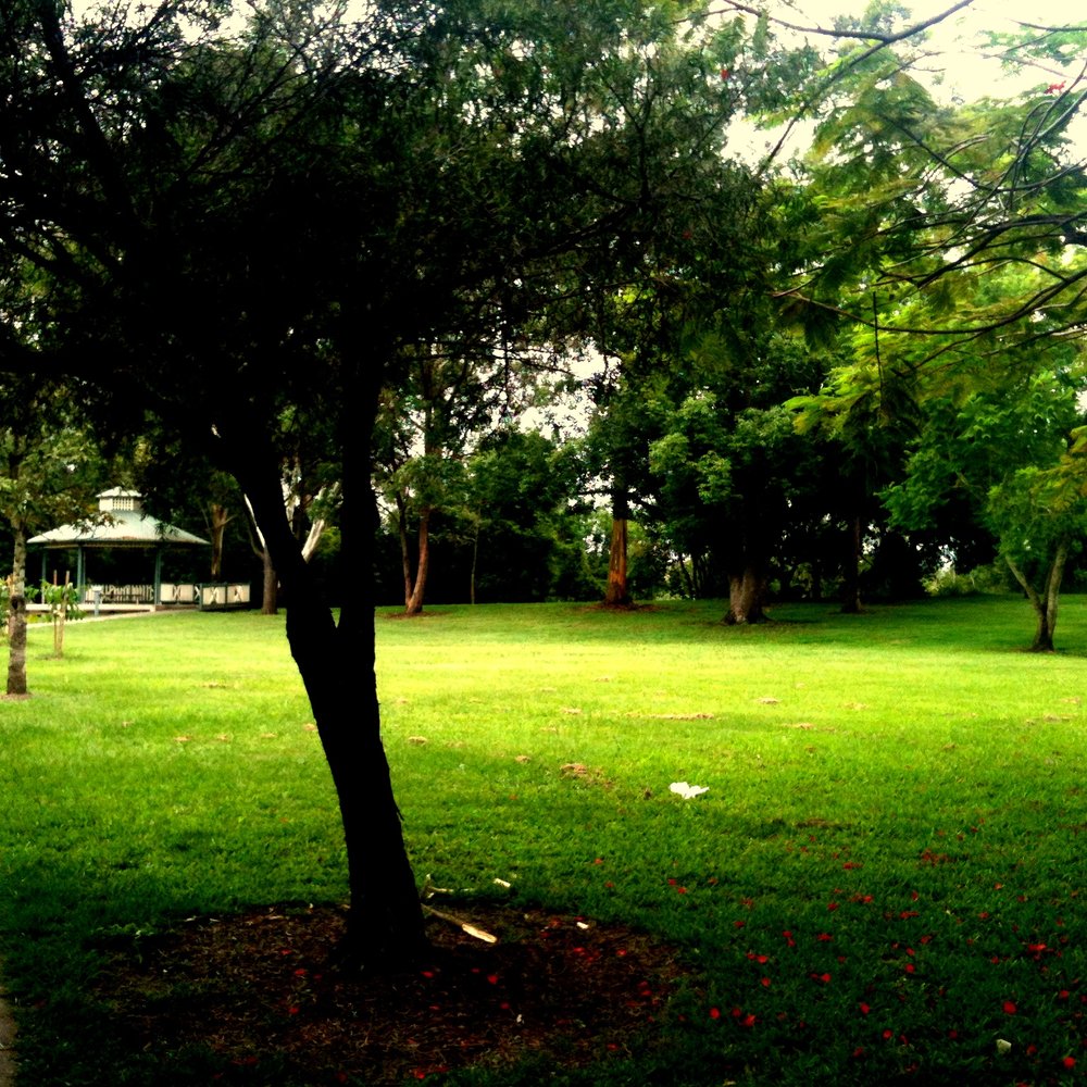 Guyatt Park - Playgrounds Near Me - St Lucia, QLD Guyatt Park - Playgrounds Near Me - St Lucia, QLD