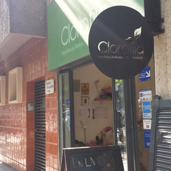 Clorofila - Florists Near Me - Ciudad de México, DIF Clorofila - Florists Near Me - Ciudad de México, DIF