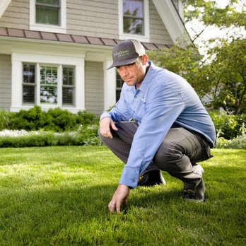 SpringGreen - a man in a blue shirt crouching in the grass - Tree Services Near Me - Noblesville, Indiana SpringGreen - a man in a blue shirt crouching in the grass - Tree Services Near Me - Noblesville, Indiana