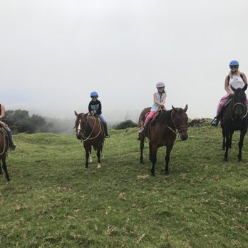Thompson Ranch and Riding Stables - Horseback Riding Near Me - Kula, Hawaii Thompson Ranch and Riding Stables - Horseback Riding Near Me - Kula, Hawaii