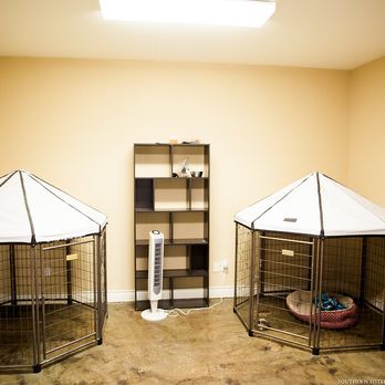 Paws Paradise - Pet Sitting Near Me - Spicewood, Texas