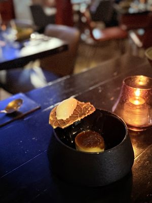 Stubborn Seed - Miami Beach by null