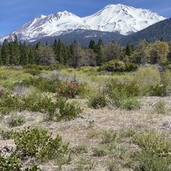 Mount Shasta Light And Sound Tours - The magical majesty of Mount Shasta.