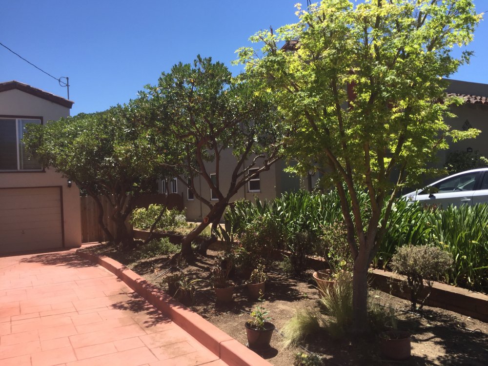 Slide of Rios Landscaping Services