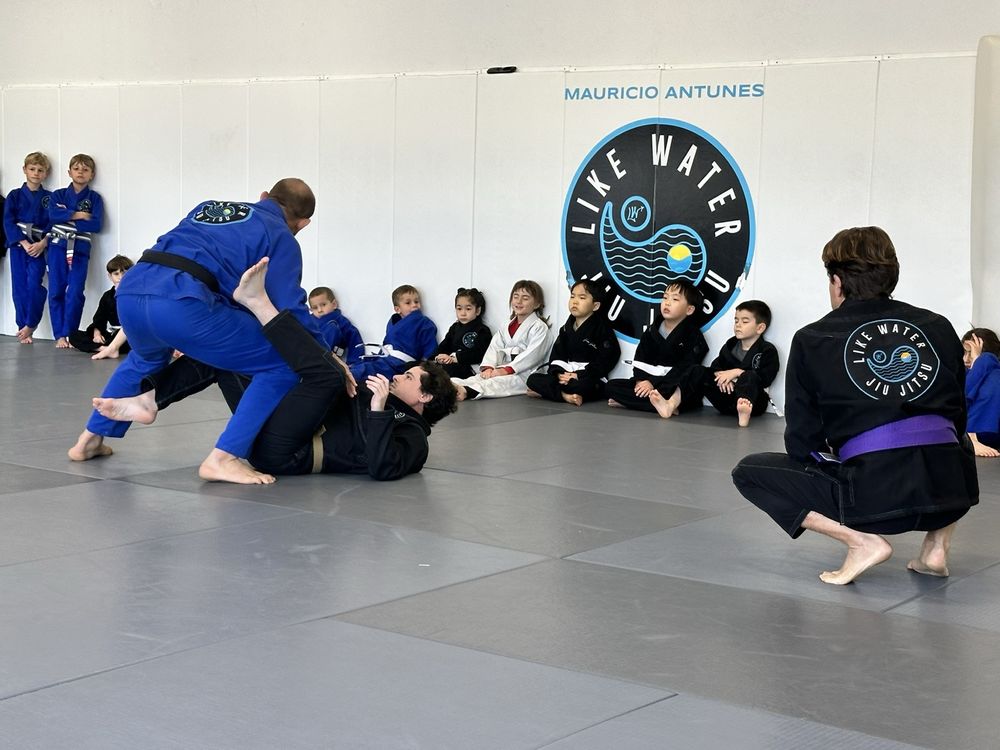 Like Water Jiu Jitsu Logo