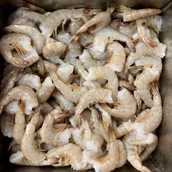 Oyster Bar Fish Market - Shrimp