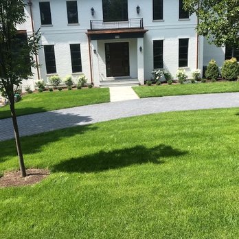 Lucas Landscape Design - the front of the house - Tree Services Near Me Lucas Landscape Design - the front of the house - Tree Services Near Me