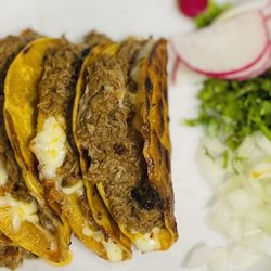 GPI Los Tacos - Quesabirria