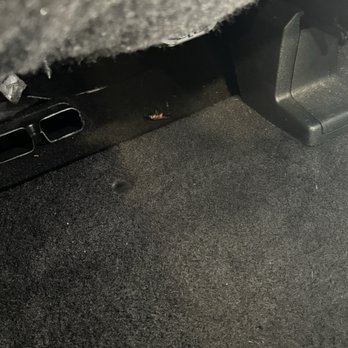 Hertz Rent A Car - Evidence of roaches in rental - Car Rental Near Me - Orlando, Florida Hertz Rent A Car - Evidence of roaches in rental - Car Rental Near Me - Orlando, Florida