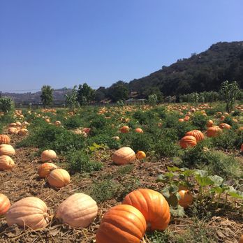 Bates Nut Farm - Specialty Food Near Me - Valley Center, California Bates Nut Farm - Specialty Food Near Me - Valley Center, California