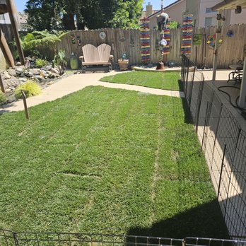 CuttingEdge Landscape & Tree - After - Landscaping Near Me
