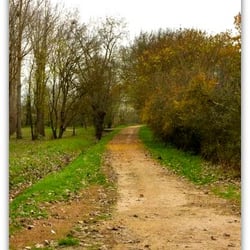 Parcours Sportif