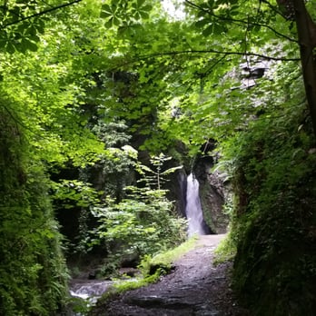 Tiefenbach-Wasserfall - Wasserfall - Local Flavor Near Me - Bernkastel-Kues, RP